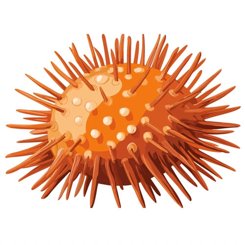 Under the Sea Theme Sea Urchin Transparent Sticker
